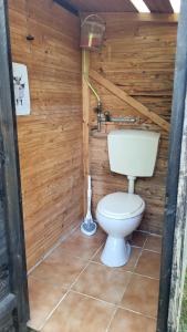 a bathroom with a toilet in a wooden wall at Chalet im grünen in Hausernmoos