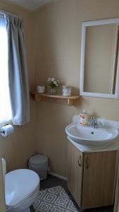 un bagno con lavandino, WC e specchio di Happy Feet Pet Friendly Holiday Home Skipsea Sands, Bridlington a Bridlington