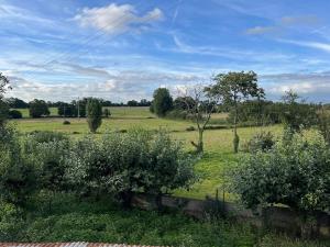 a view of a field with trees and bushes at La Basse Meule Maison in Juvigné +7 photos