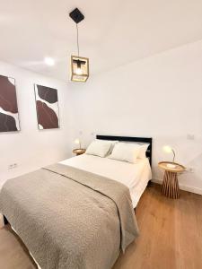 a bedroom with a bed and a pendant light at Renfe Asamblea de Madrid 03 AMCH Hospedaje in Madrid