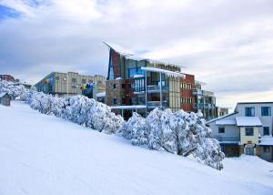 Το Alto Villa 303 AMS Mt Buller τον χειμώνα