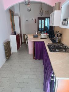 a kitchen with a purple counter top in a room at Cesare Battisti in Seggiano