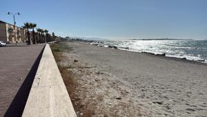 a sandy beach with palm trees and the ocean at 2Appartamento Spadafora 20 passi dalla spiaggia in Spadafora