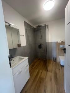 a bathroom with a shower and a sink and a toilet at DOM za Górą in Krajno-Zagórze +14 photos