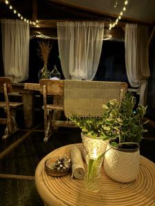 a table with a plant in a vase on it at Stenata LightWill in Banya