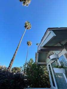 twee palmbomen voor een huis bij Cozy Beach Bungalow- Happynest in Long Beach