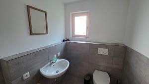 a bathroom with a sink and a toilet and a mirror at Ferienwohnung Sonnenschein in Balderschwang