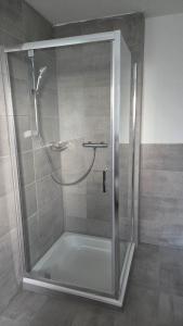 a shower with a glass door in a bathroom at Ferienwohnung Sonnenschein in Balderschwang