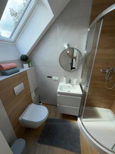 a bathroom with a sink toilet and a mirror at APARTAMENT RYBICAL nad jeziorem in Ryn +36 photos