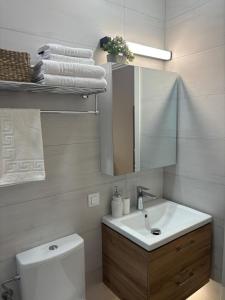 a bathroom with a sink and a toilet and a mirror at Studio Tabacariei 5A in Tăbăcărie +14 photos