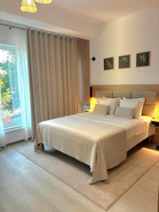 a bedroom with a large bed and a large window at Studio Tabacariei 5A in Tăbăcărie