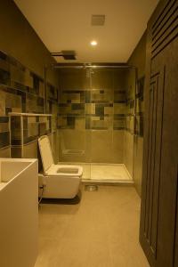 a bathroom with a shower and a toilet and a sink at pyramids heaven inn in Giza