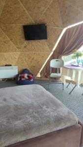 a bedroom with a bed and a tv in a tent at Глемпінг Еко-сфера in Dubovtsy