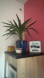 Billede fra billedgalleriet på Au Petit Relais i Avallon