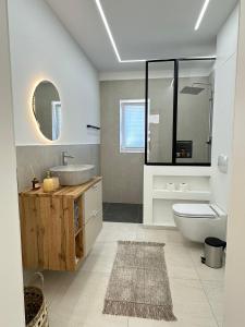 a bathroom with a sink and a toilet and a mirror at Domi Apartment in Gerolstein +6 photos