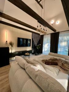 a bedroom with a large bed and a tv at Silent Lake in Látrány +27 photos