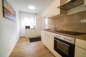 Η κουζίνα ή μικρή κουζίνα στο Deluxe Apartment