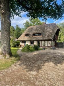a large house with a tree in front of it at la p’tite chaumière in Forges-les-Eaux