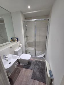 a bathroom with a shower and a toilet and a sink at City Haven, Luxury 2-Bed, 2-Bath City Centre Flat with Gym & Garden - Steps from Cruise Terminal in Southampton +22 photos