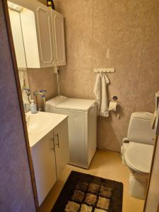 ein kleines Badezimmer mit Waschbecken und Toilette in der Unterkunft The Blue house apartment in Andøya + 7 Fotos