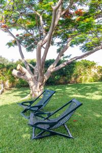 Zahrada ubytování Finca Hoya de La Campana