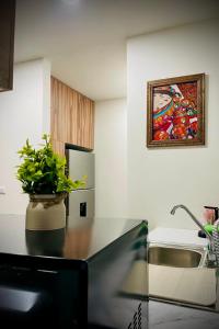 a kitchen with a potted plant on top of a counter at El Rincón de Monte Alban in Oaxaca City +107 photos