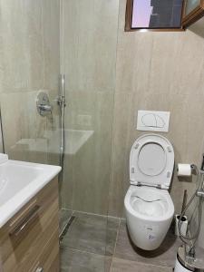 a bathroom with a shower and a toilet and a sink at Villa Sofia in Durrës