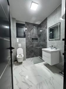 a bathroom with a toilet and a sink and a shower at Raba Apartments in Donji Štoj +15 photos