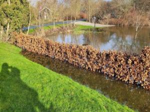 Billede fra billedgalleriet på Seaside Charm in Ristinge-By Traum i Humble