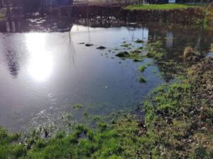 Billede fra billedgalleriet på Seaside Charm in Ristinge-By Traum i Humble