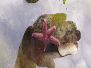 Billede fra billedgalleriet på Seaside Charm in Ristinge-By Traum i Humble