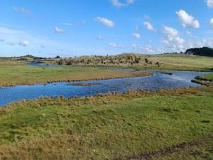 Billede fra billedgalleriet på Seaside Charm in Ristinge-By Traum i Humble + 28 billeder