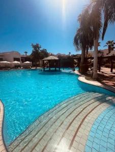 a large swimming pool with blue water at 1 room apartment Delta in Sharm El Sheikh