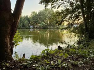 a view of a lake with trees and water at "Kota coeur de bois" Chalet en bois au domaine de l'Aa in Bourbourg +17 photos