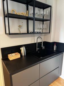 a kitchen counter with a sink and a shelf at Traumhafte Wohnung mit Garten in Wiesbaden