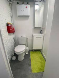 a small bathroom with a toilet and a green rug at Coca-Cola Studio near Paris in Saint-Denis
