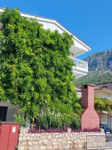 een grote groene boom voor een huis bij Apartments with parking space Podaca, Makarska - 312 in Podaca