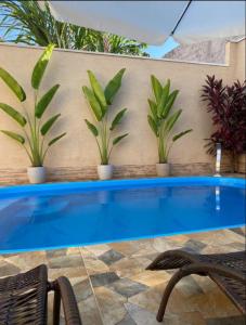 アチバイアにあるLinda casa em condominioの壁に植物を植えたスイミングプール