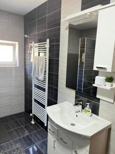 a bathroom with a sink and a mirror at Apartment M&S Gračanica in Gračanica