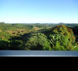 a view of a forest of trees from a window at Hotel Rezende in Villa Nova de Resende