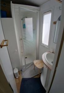 a small bathroom with a sink and a shower at Mobil-home confort 2 chambres à La Baule in La Baule