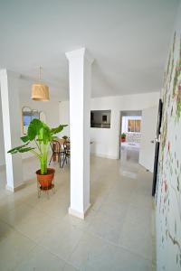 a living room with a potted plant on a tile floor at Tu casa en Cartagena-Torices in Cartagena de Indias