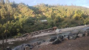 Foto dalla galleria di La Polcura Lodge Turismo -Fishing Lodge & Spa a El Llano Altre 92 foto