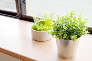 two potted plants sitting on a window sill at G61 駅徒歩3分観光ビジネスに最適な1部屋 3 minutes walk from the station Nagoya駅から1駅 in Nagoya