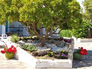 Zahrada ubytování L'auberge Camarguaise
