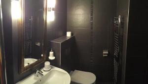 uma casa de banho com um lavatório, um WC e um espelho. em Hunting Lodge Vitkov em Sokolov