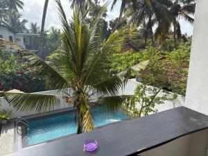 Πισίνα στο ή κοντά στο Villa Leo hikkaduwa