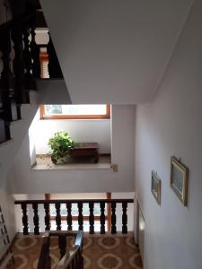 a staircase with a window and a potted plant at La Maison Verte in Formia +12 photos