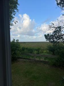 a view of a fence and a field from a window at Bauwagen in Fanø +3 photos