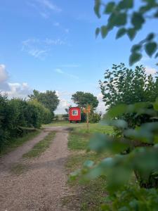 eine rote Scheune am Rande eines Feldwegs in der Unterkunft Bauwagen in Fanø + 3 Fotos